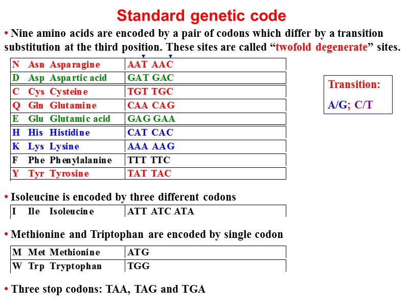 Standard genetic code • Nine amino acids are encoded by a pair of codons